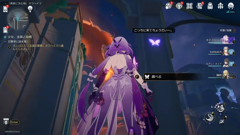 完璧蝶