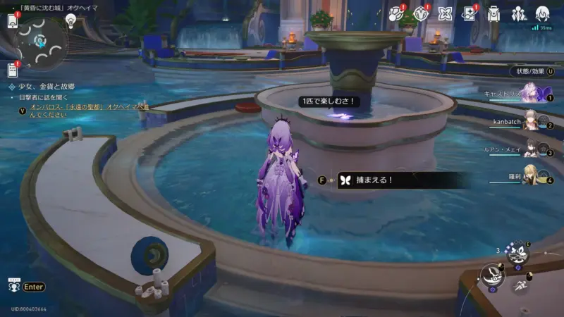 浮遊蝶