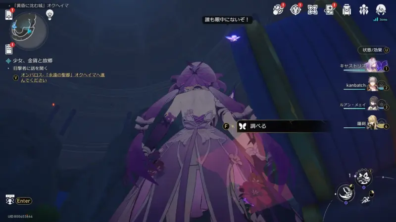 睨み蝶